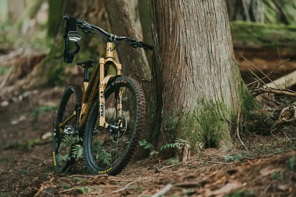 Exploring the Best Canadian Mountain Bike Brands