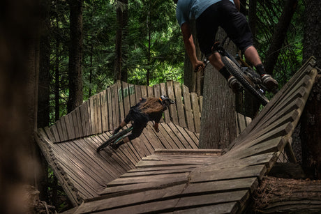 The Best Mountain Bike Trails in Fernie: Your Ultimate Guide