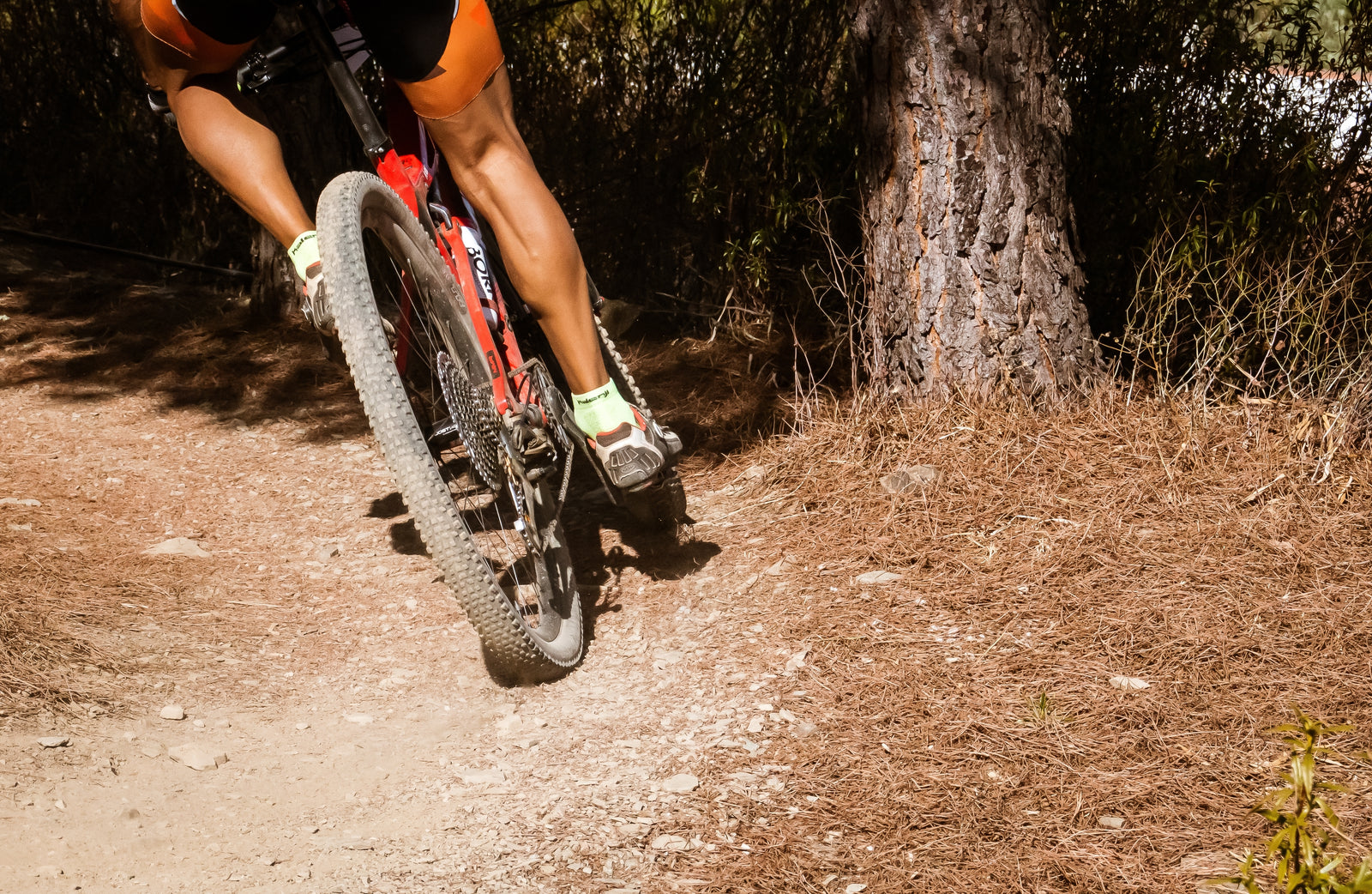 Does Mountain Biking Build Leg Muscle? Find Out Here